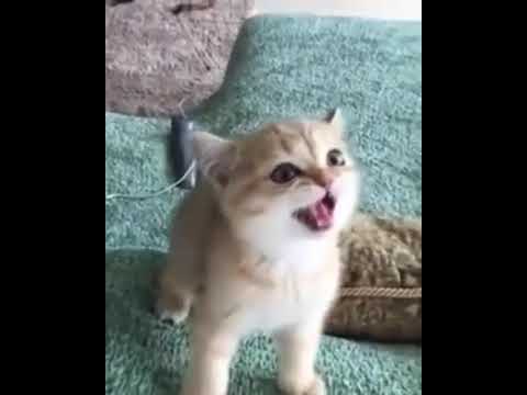 Show me your war face! ;))