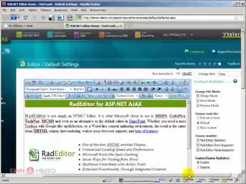 DotNetNuke Tutorial, Change the look and feel of RAD Editor - Video #131