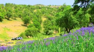 Download lagu jasem gole garmasiri_ آهنگ لری جاسم خدارحمی گل گرمسیری mp3