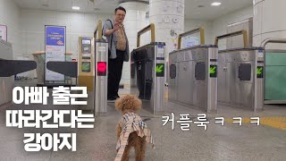 힘든 아빠 웃게 해주려고 커플룩 입고 지하철까지 따라간 강아지 ㅋㅋ