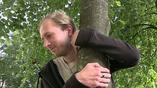 The Tree.