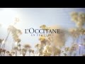 Publicité L Occitane Immortelle Serum Précieux