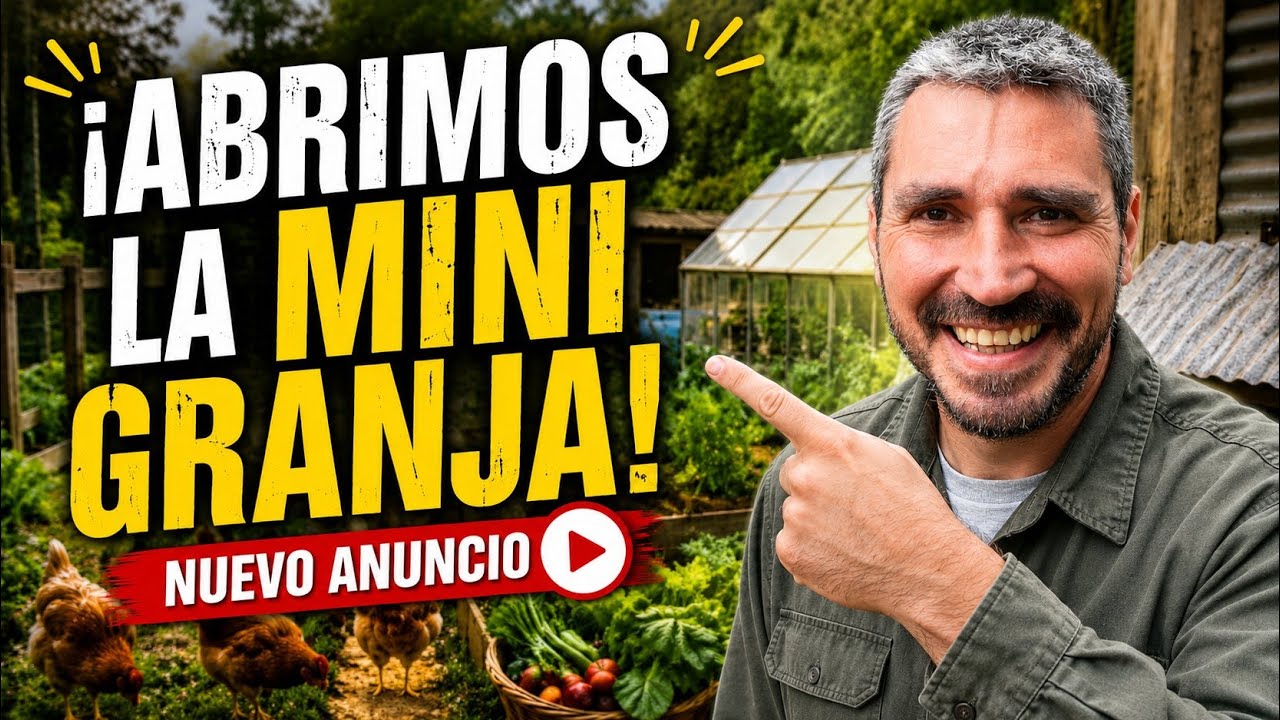 Novedades en la Minigranja 🧑‍🌾