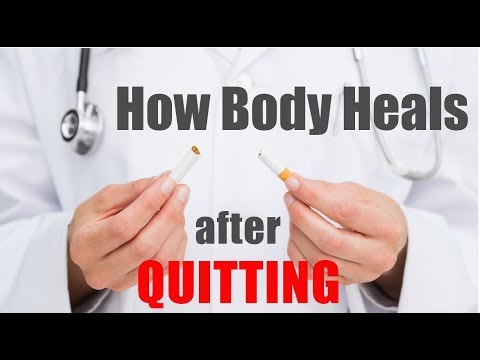 Rx Tobacco #2 (Eng) How Body Heals after Quitting | Life After Smoking | Dr.Education Video