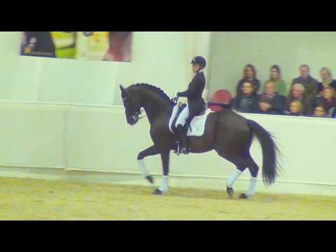 MORRICONE & Lena Waldmann