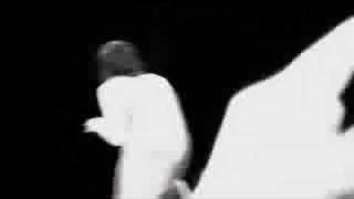 Camille # Eurockéennes 2008 # Janine Dance