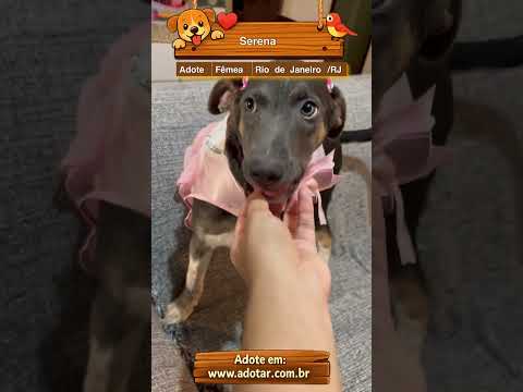 Vídeo de Serena