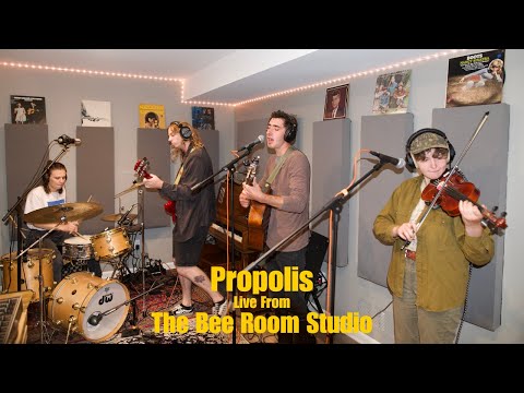 Propolis video