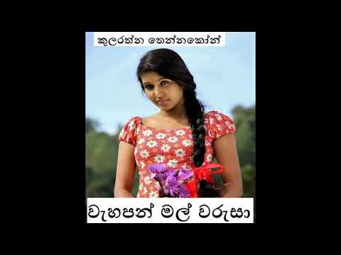 Wahapan Mal Warusa - Kularathna Tennakoon / වැහපන් මල් වරුසා - කුලරත්න තෙන්නකෝන් / W.A. Abeysinghe