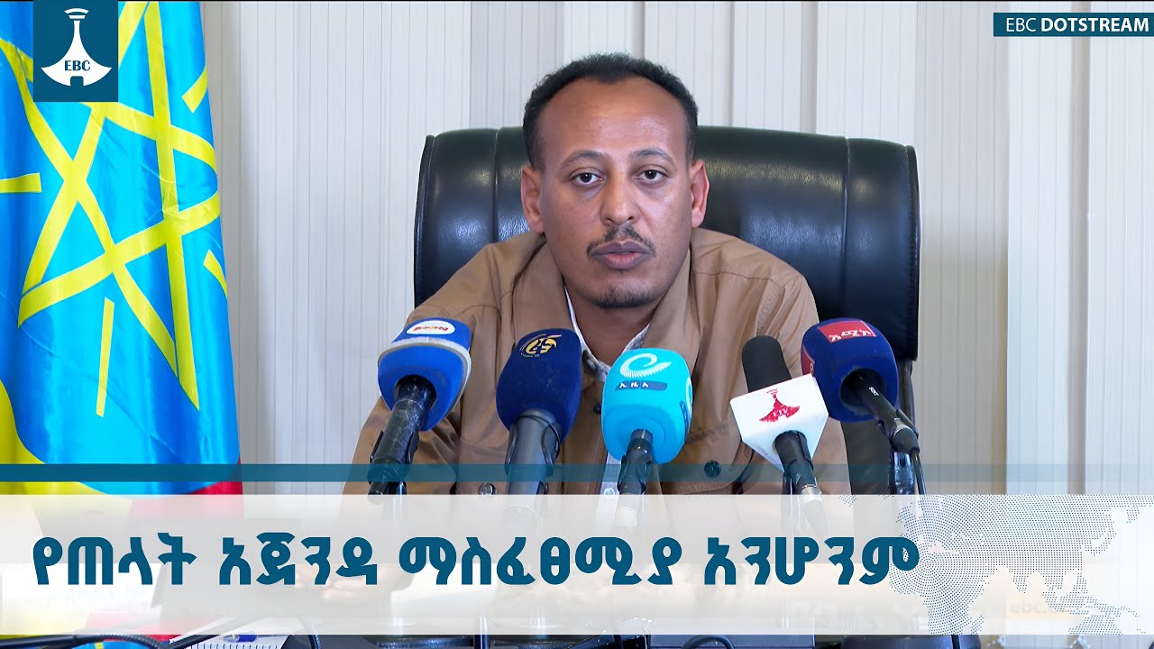 በውጭ ሀገር ተቀምጠው በአማራ ክልል ዘላቂ ሰላም እንዳይሰፍን ከኢትዮጵያ ታሪካዊ ጠላ?