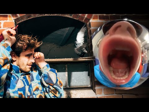 Frieden mit der Stadt - Fynn Kliemann | Album: POP | Offizielles Video