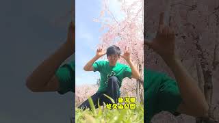 #松阪牛 #三重県 #sakura #新潟県 #桜 #shorts