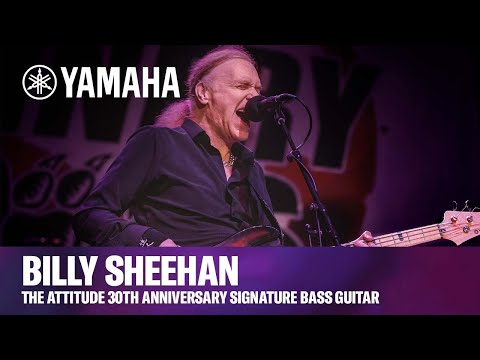 Super Rare!! YAMAHA Attitude LTD 30th anniversary Billy Sheehan image 9