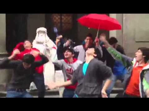 harlem shake 46 FLORENCIA