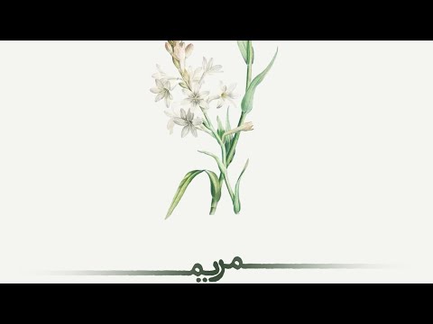 Maryam - Reyhaneh Moshirian & Omid Rajabi