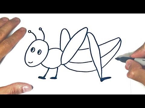 How to draw a Grasshopper for kids | Drawings Tutorials ...