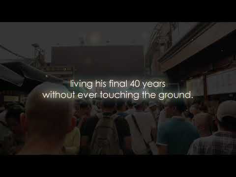 Instinct is a Lie   Zaheer's Words