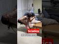 Sciatica Pain Relief By Chiropractor Dr Pankaj Choudhary Shortsfeed Trending