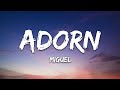 Miguel Adorn Lyrics