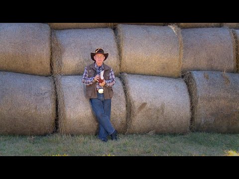 Unnecessary Worry - Family Time with Angus Buchan