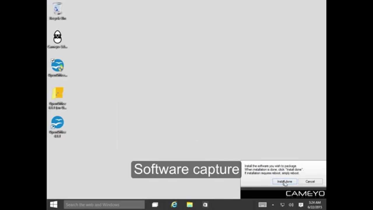 Turning software into a single executable