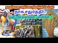 நாகதோஷ பாதிப்பை நிவர்த்தி செய்யும் ந