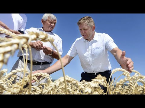 Sme zachránení! Premiér má fotku v žite a na Slovensku sa vďaka tomu máme lepšie•Monika Masariková