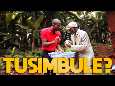 TUSIMBULE? - SEASON.2 HIGHLIGHTS