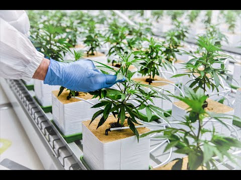 Neue Eindrücke aus der Schweiz