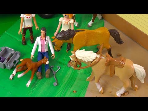 Vet Helps Foal ! Spirit Riding Free + Lucky - Horse Video