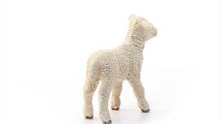 Schleich Jahňa