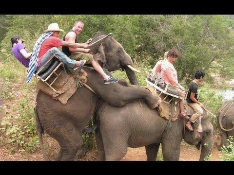 Die Wahrheit über den Bundesvision Song Contest 2013 (Teil 1)