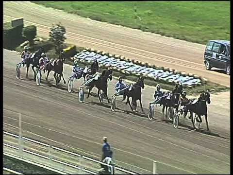 trotto 28/05/2015 - 2° corsa