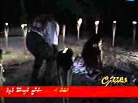 mulhi jaan hithaa_nimaal.flv