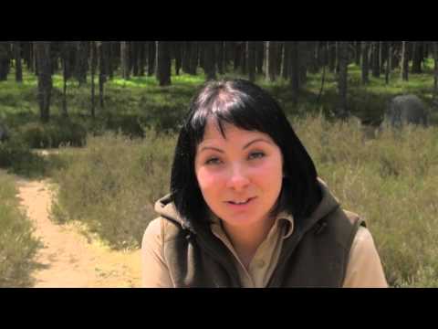 [ODCINEK 6] Rezerwat „Kamienne Kręgi” w Nadleśnictwie Bobolice