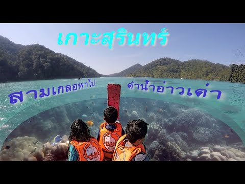 คลิกเพื่อดูคลิปวิดีโอ
