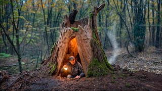 Building a Warm and Cozy Secret Shelter Deep Inside a large Tree. Bushcraft, Survival, Dugout.