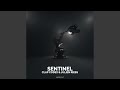 Sentinel Original Mix