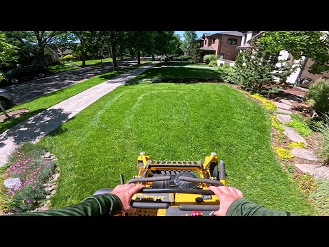 Mowin' Midweek Madness! | High Revenue Twitch VOD Wednesday #6