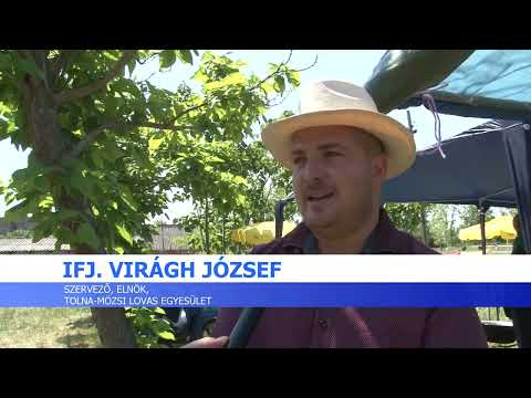Családi lovasnap  - Tolna-Mözs
