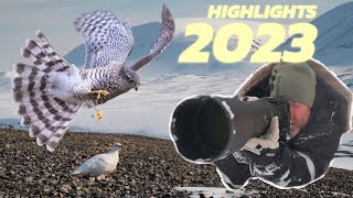 THIS has come to an end // My channel in 2024 - One year with wildlife photography