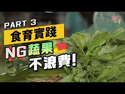 公視台語台-《青春！咱的夢》EP56 ｜食育透活水Part3-【飲食教育】食事實踐：NG蔬果不浪費！