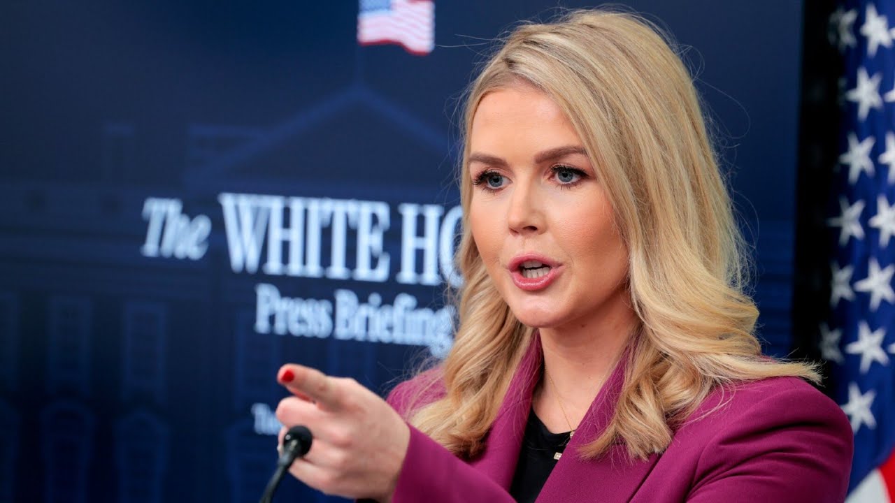 ‘Stunned and amazed’: New White House Press Secretary praised for ‘giving it to the Trump haters’