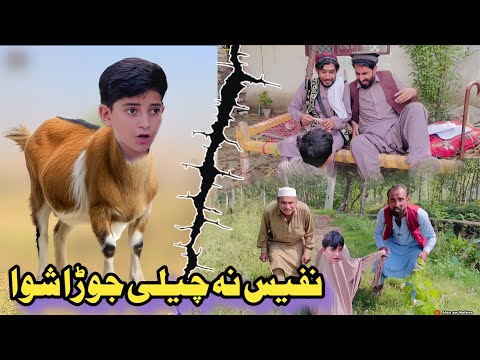 Nafees Na Chelay jura Shwa | Pashto Funny Video | Pashto Drama 2025
