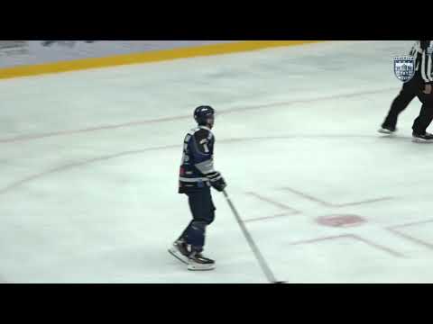 Hydro Fehérvár AV19 - DVTK Jegesmedvék 8-5 összefoglaló