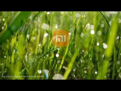Будильник "Утренняя роса" на телефонах Xiaomi