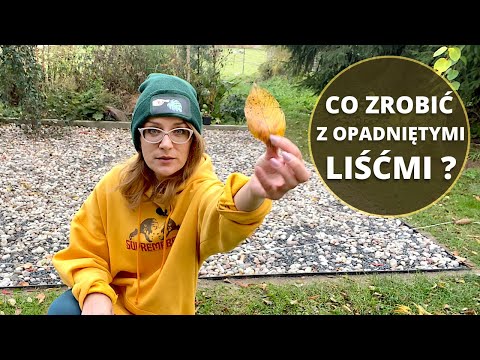 How to make LEAF SOIL? How to use fallen leaves? How to make soil from leaves?