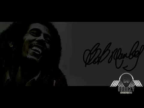 Bob Marley   Chant Down Babylon Karaoke