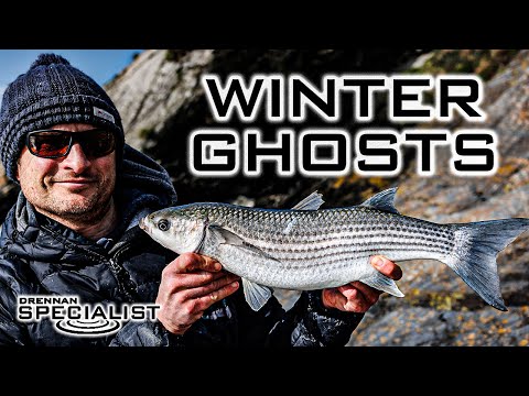 Multefiskeri om vinteren