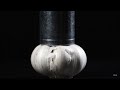Oddly Satisfying Garlic Crush ASMR Cracking Peeling Sounds